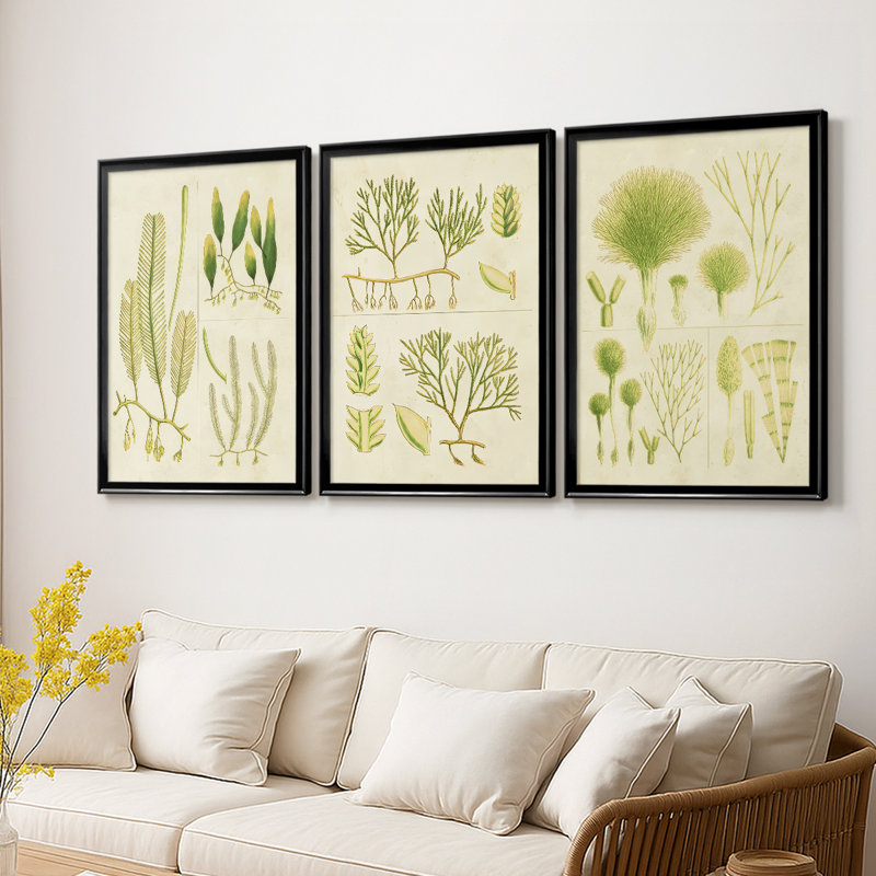 «Vintage Sea Grass I» - Toile tendue avec châssis sur mesure - 3 pièces, H 19 po x l 27 po