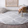 Attebery Performance Indoor Rug