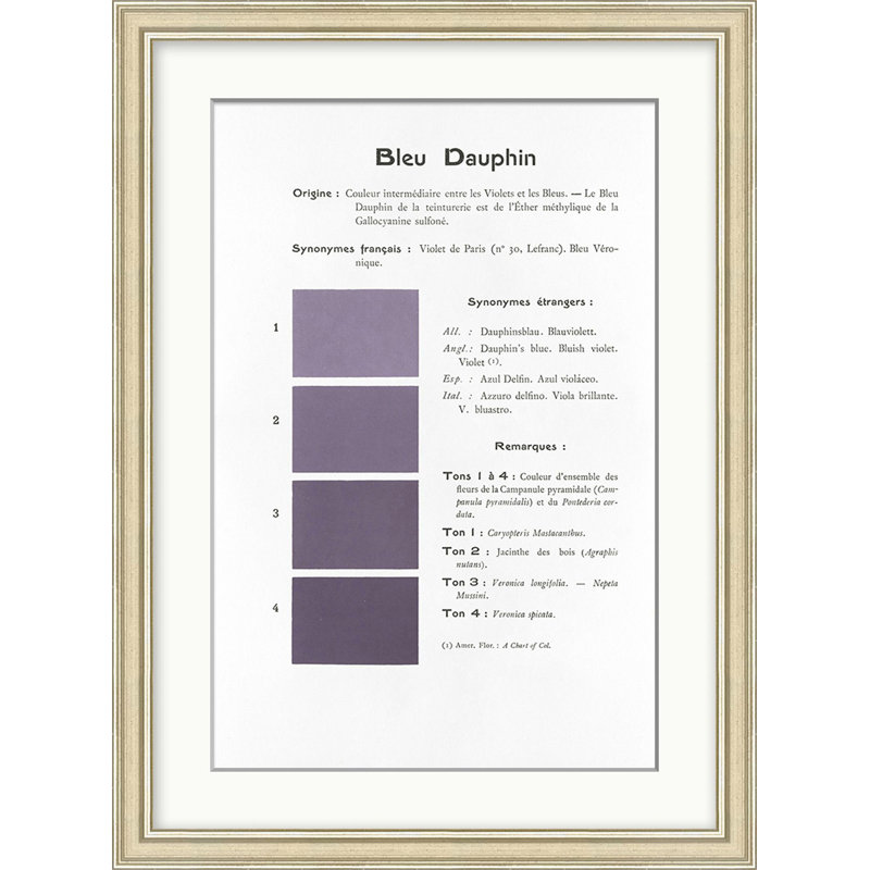 Violet 3 Print by Danielle Rollins