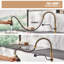 Bolden CASAINC 1.8 GPM Spring Neck Pull Down Kitchen Faucet with Deck Plate-93965528