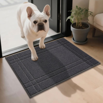 Paillasson antidérapant, tapis d'entrée lavable à la machine pour chaussures et pattes, tapis de porte à profil bas résistant aux taches pour l'entrée avant / arrière intérieure