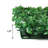 10'' Faux Hedge