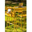 Luxembourg Outdoor Bar Stool-181547734