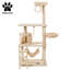 Felicia 146 cm H Cat Tree / Condo