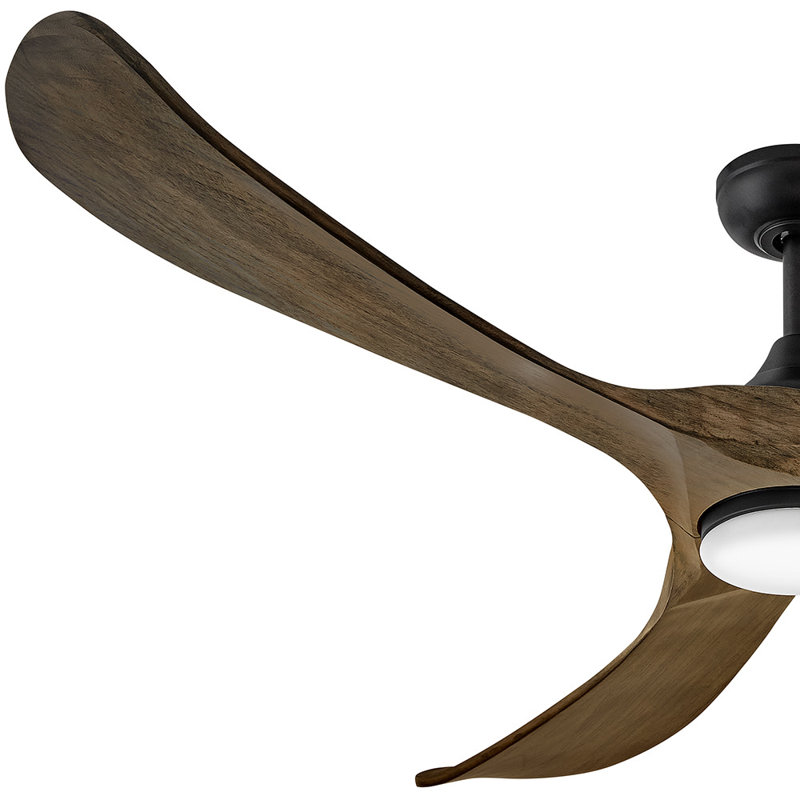 Ventilateur de plafond à DEL AllModern Reze, Bois flottant