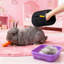 Gants pour animaux