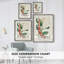 «Turpin Tropical Botanicals», reproduction encadrée en bois massif-1488420036