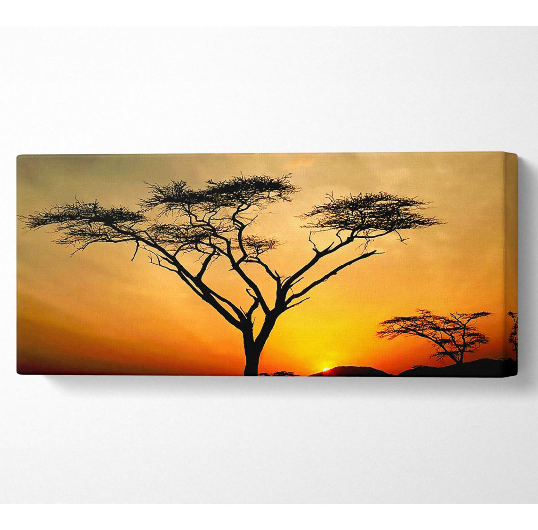 Arcania Tree Sunblaze - Wrapped Canvas Kunstdrucke