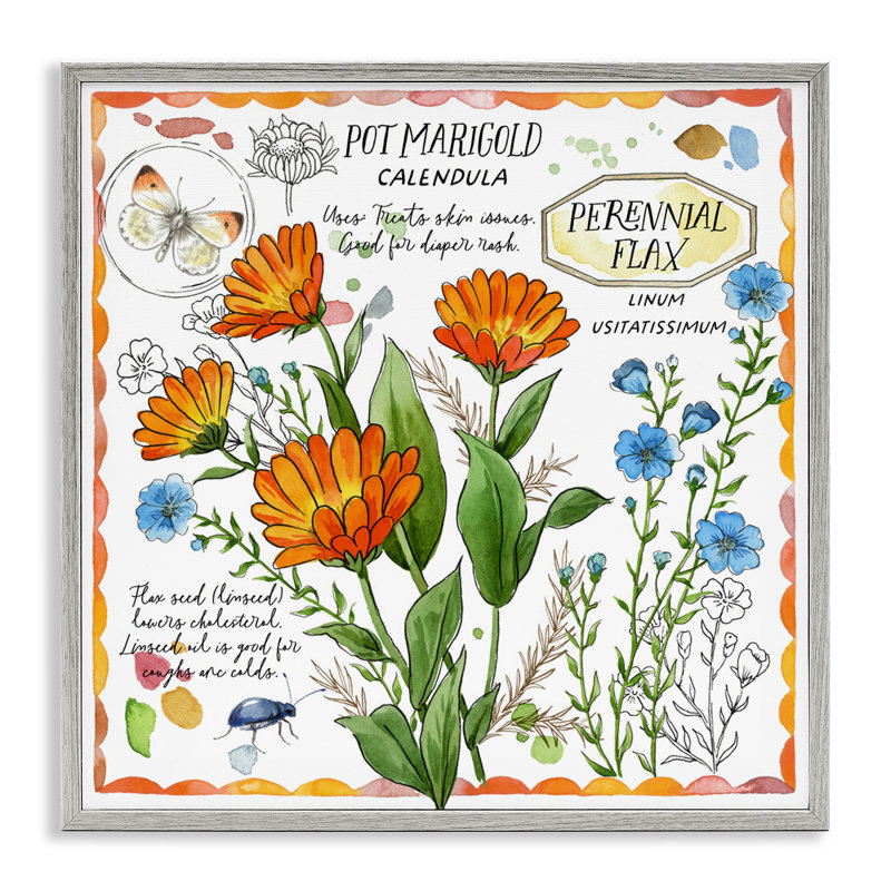 «Country Herb Uses», art de la giclée encadrée par Jane Maday, H 17 po x l 17 po, Estampe numérique Farmhouse