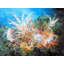 Ocean Bouquet Print by Lisa Daniels-71199473-71199474