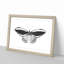 Papilio Butterfly in Black & White by George Shaw - Picture Frame Painting Print on MDF-55737307-55737308