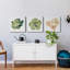 «Succulent Cameo IX», ensemble de 3 toiles tendues-1341274273