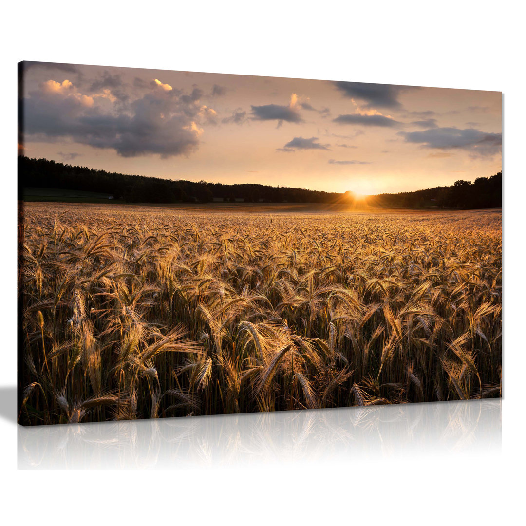 Sunset On Wheat Field - Wrapped Canvas Print