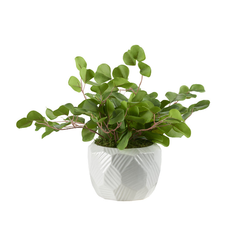 Eucalyptus artificiel 14 po en pot, H 14 po x l 19 po x P 19 po