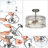 Brisher 3-Light  Semi Flush Mount Light
