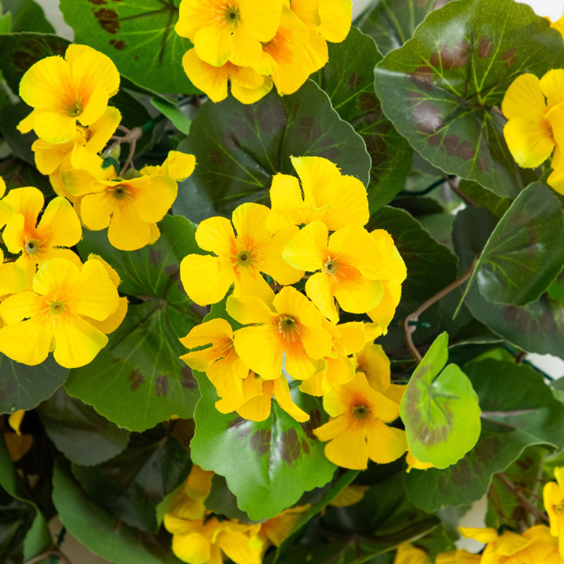29 po Geranium artificiel résistant aux rayons UV (intérieur / extérieur) - ensemble de 2, Jaune
