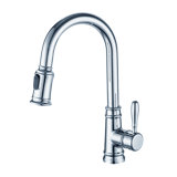 Trova Pull Down Single Handle Kitchen Faucet with Accessories