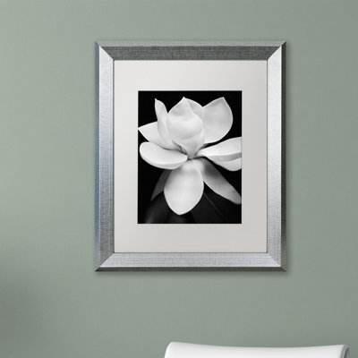 « magnolia », reproduction de photo sur toile encadrée