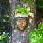 Statue Herbey Face Forest