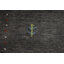 Tapis tribal Gabbeh 5 x 8