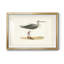 Morris Sandpipers I - reproduction de cadre photo-594156959-594156958