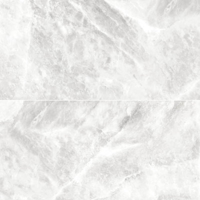 Nimbus 24" x 48" Matte Porcelain Wall & Floor Tile