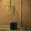 Handmade Ceramic Planter-1365863824-1365863839