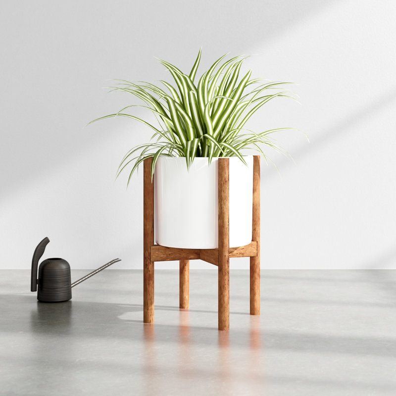 Dominic Pot Planter, White/Walnut