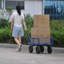 Chariot de jardin multifonctionnel pour outils - Camion de jardin à pneus solides pour le bois de chauffage, l'engrais, les débris et les outils, lit spacieux, transport facile pour le jardinage / l'agriculture / la cour / à la maison
