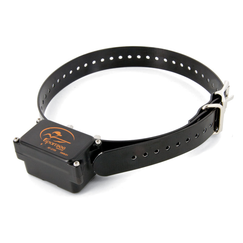 Enclos pour chien électrique enterré