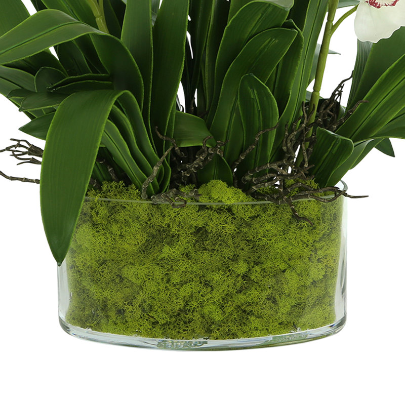 Faux Orchids in Glass Vase with Moss
