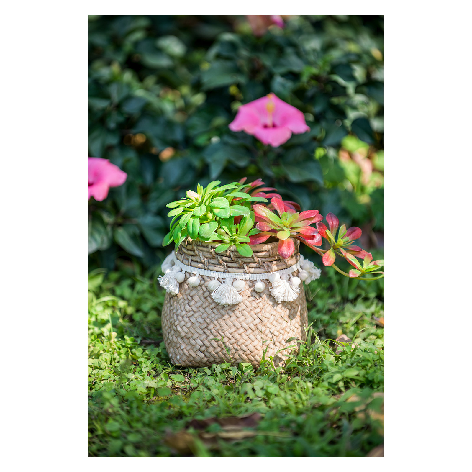 Susette Cachepot, 6.1" H x 6.5" W x 6.5" D