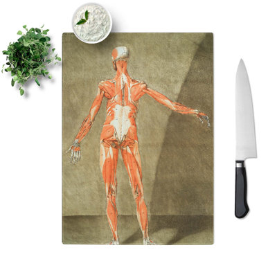 Tempered Glass Anatomical Illustration of a Male No. 6 Chopping Board