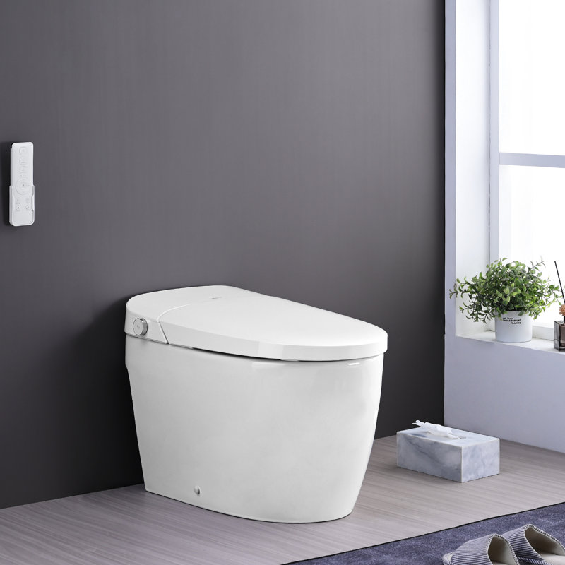 Smart Toilet With Night , Off Flush, Heated Seat. Ceramic, 19.18In High, 30.9In Package Depth Bidet, Seat, Female Wash, . 92.8Lb Heavy