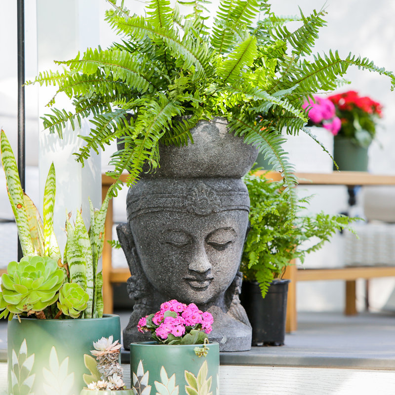 Buddha Head Planter