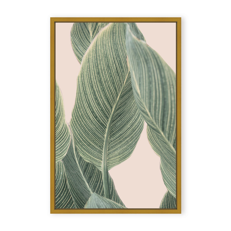 Coastal Retreat Calla Leaf by  - Picture Frame Graphic Art on Paper, Framed Canvas, Brown, 48" H x 32" W x 2.375" D
