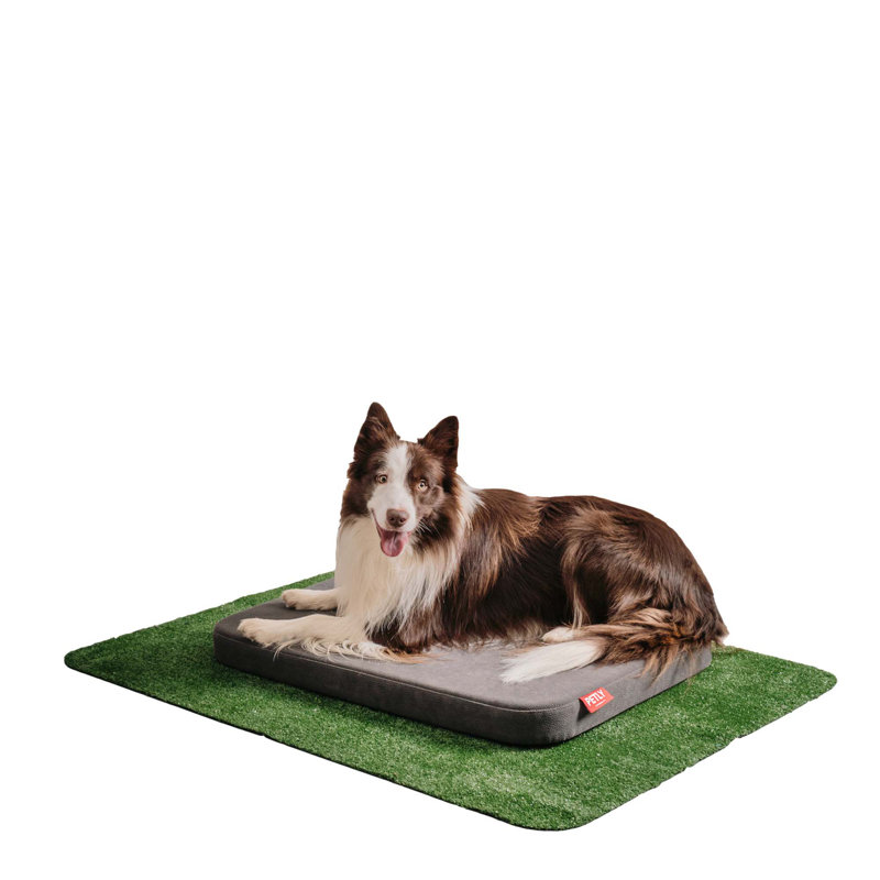 Orthopedic Microfibre Pet Bed, Light Grey, Medium (80cm W x 60cm D)