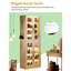Armoire de style moderne, armoire à chaussures, armoire unique, rangement pour chaussures