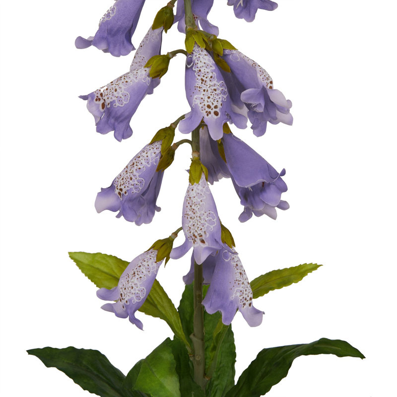 The Natural Garden Collection Foxglove, Purple, 11cm H x 6cm W x 6cm D