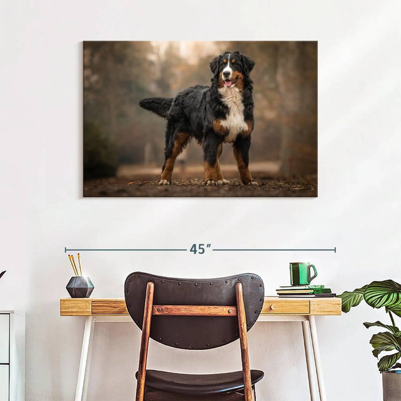 Brampt Bernese Mountain Dog, 26" H x 39" W