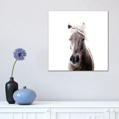 Iceland Horse Lucy I Square 1 Piece Wrapped Canvas Wall Art