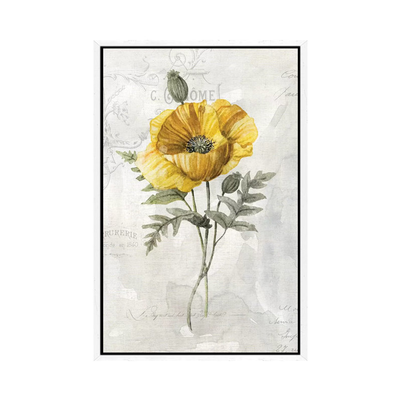 Canary Linen Poppy by Carol Robinson - Print on Canvas, White Framed, 152.5 cm H x 101.5 cm W