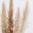 70.9'' Faux Pampas Grass Plant in Planter