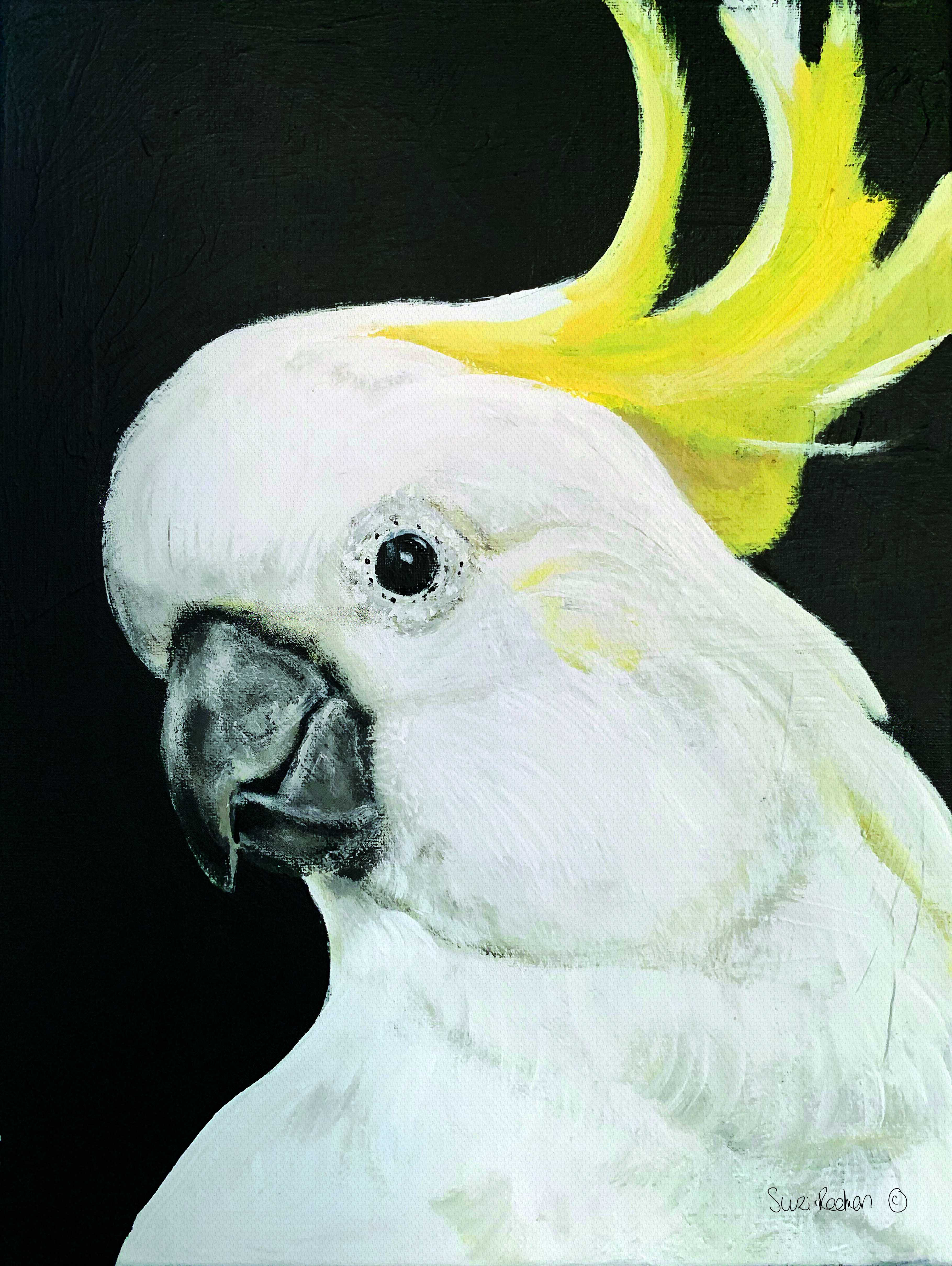 white cockatoo painting