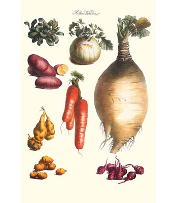 " Vegetables; Onion, Potato, Carrot, Roots, Tubers "