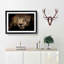 Jaguar Stalking Prey - Wall Art-55609827-55609832