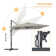Sereana 11.5' x 9' Rectangular Cantilever Umbrella with Crank Lift