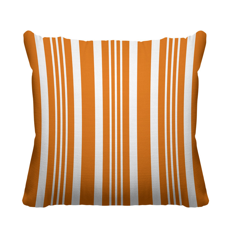 Housse et insert de coussin carré d'extérieur Healthcliff, H 17 po x l 17 po, Orange