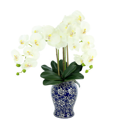 Orchid Arrangement in Vase