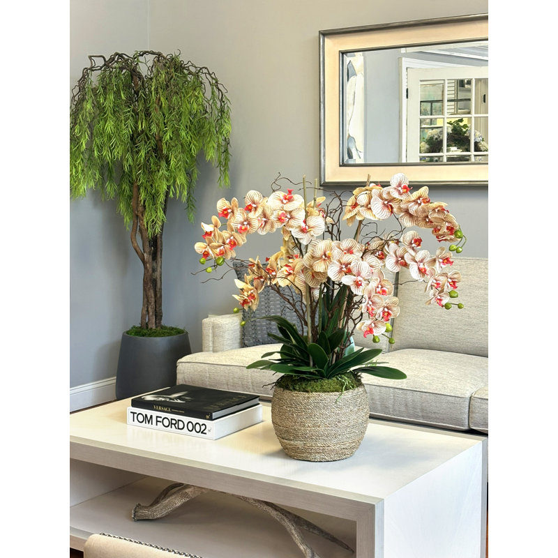 Orchid and Curly Willow in Decorative Rope Pot